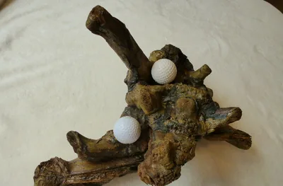 Driftwood golf ball display holding two golf balls