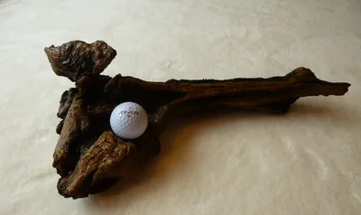 Dark driftwood golf ball display with a ball set into the wood