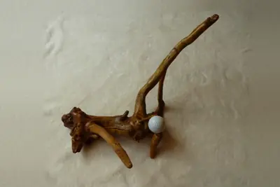 Light driftwood golf ball display with a tall curving branch