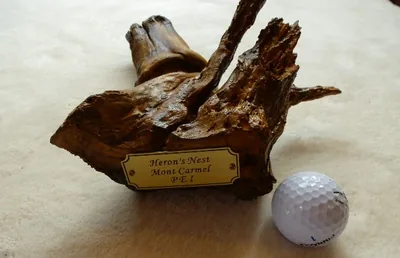 Driftwood golf ball display with a Heron's Nest, Mont Carmel PEI plaque