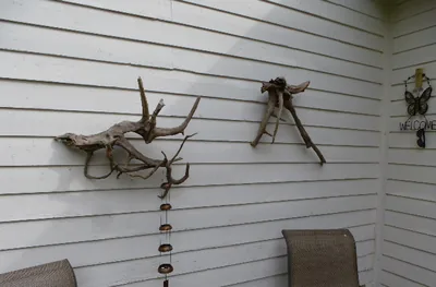 Driftwood pieces hung on the side of the house