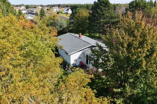 The back of the house through the trees